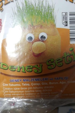 Esmay Çim Adam Deney Seti 10 Adet Gnsrkfaz2624