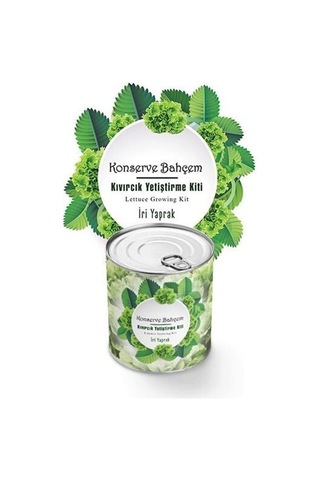 Buffer Konserve Bahçem Evde Konservede İri Yapraklı Kıvırcık Yetiştirme Kiti - 9026794700460drvs1