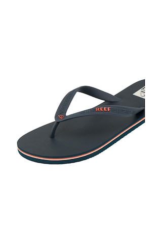 Reef Seasıde Erkek Terlik Ref.cj6579 Siyah