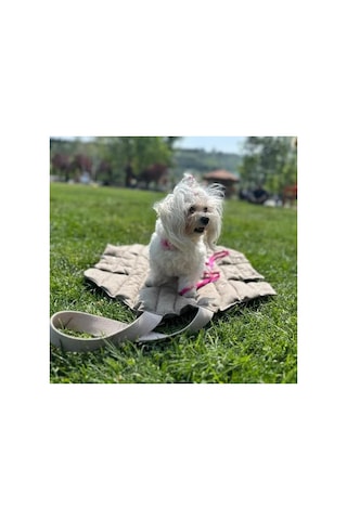3.1 Phillip Lim Kedi Köpek Taşıma Çantası, 80x70 Cm, Terletmez Keten 0233 Orangeblue Cat