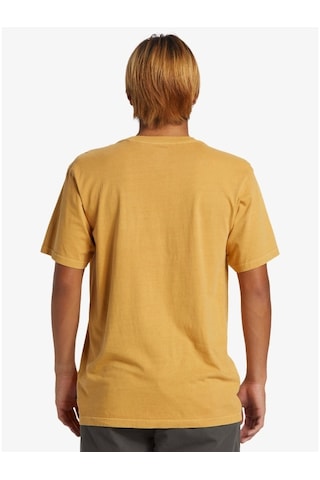 Quiksilver Salt Water Pkt Tee Swp Erkek T-shirt aqyzt09558-17921 001