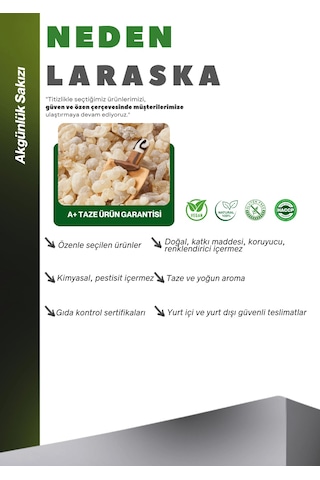 Akgünlük Sakızı 100g