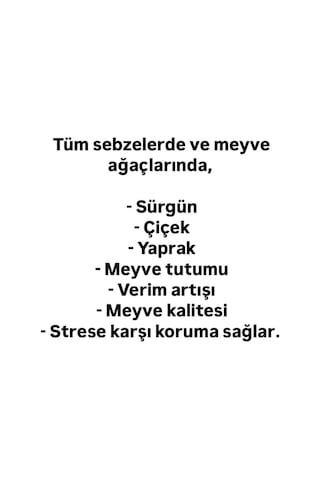 Tüm Sebze Meyve Ağaçları Çiçeklendirici Yaprak Coşturucu Zeytin B 1 LT