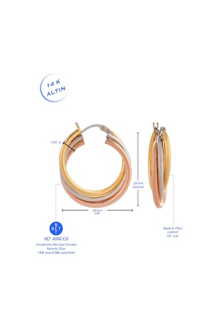 14 Ayar Altın Küpe Üç Renk Sarı Beyaz Rose Altın Halka Küpe 2,50 Cm Çapında