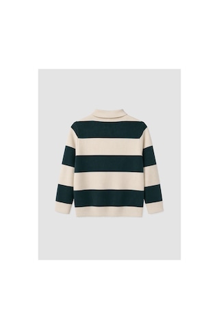 LC Waikiki Alıta Cıty Farkıyla Lcw Kids Yeşil Triko Çizgili Polo Yaka Erkek Çocuk Kazak Yesil - 925589817 Yesil