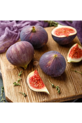Sağlıklı Ve Lezzetli Mor İncir Fidanı Ficus Carica - 1-2 Yaşınd
