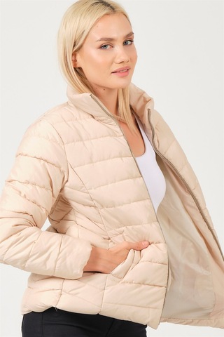 Dewberry Bayan Mont Z6746