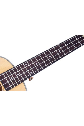 Tayste Tuk210-24 Concert Ukulele