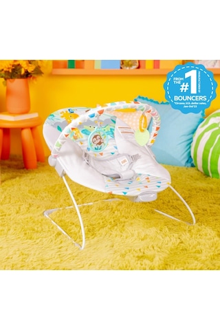 Bright Starts Bebek Salıncağı, Rahatlatıcı Titreşimli Bebek Ana Kucağı