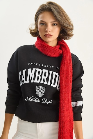 Shade Kadın Bisiklet Yaka Baskılı Üç İplik Şardonlu Basic Sweatshirt 6067 60283619 - Siyah
