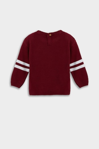 Defacto Erkek Bebek Bisiklet Yaka Baskılı Kazak F2480a525aubr285 Bordo