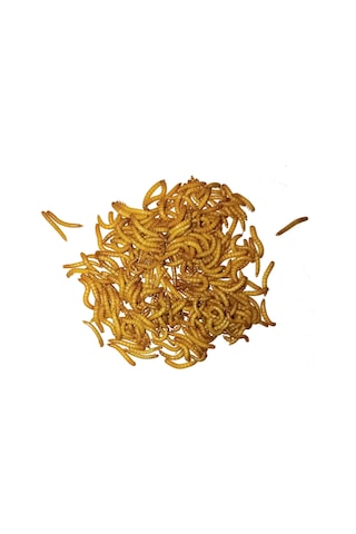 Exolive Un Kurdu 2500'lü 250 G