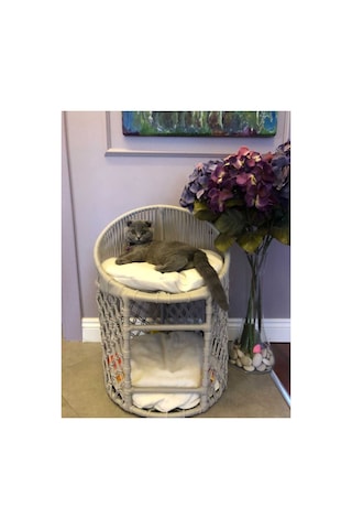 Kedi Yatağı & Kedi Ranzası Kedi Yatağı & Kedi Ranzası
