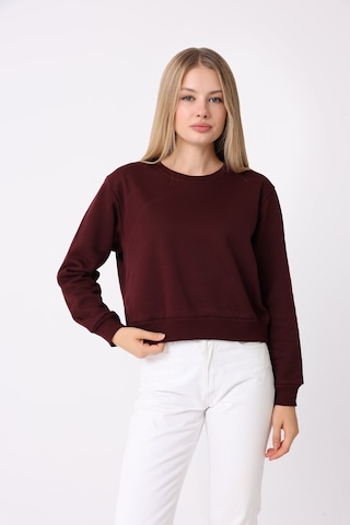 Defys Kadın Bisiklet Yaka Üç İplik Şardonlu Basic Sweatshirt Bordo Defys Kadın Bisiklet Yaka Üç İplik Şardonlu Basic Sweatshirt Bordo