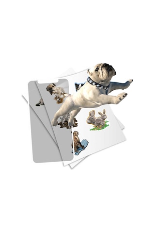 Holotoyz Sticker Pet Party Ar Uyumlu Etiket