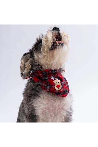 Pawstar Lüx Küçük Köpek Yılbaş Fuları 3no 51-62cm 1tane