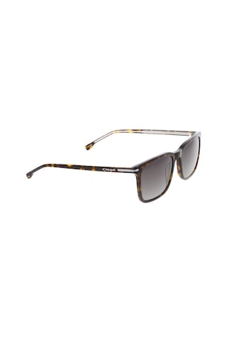 Osse Os3875-01 55 Unisex Güneş Gözlüğü Kahverengi