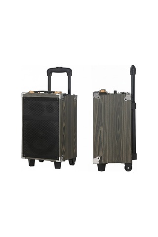 Hepu Hp-904 Partybox Bluetooth Hoparlör 12 Woofer 40w Güç 1 Kablosuz Mikrofon Kumanda