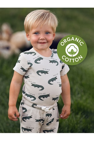 Antebies Timsah Kısa Kollu Body Pantolon Set renkli