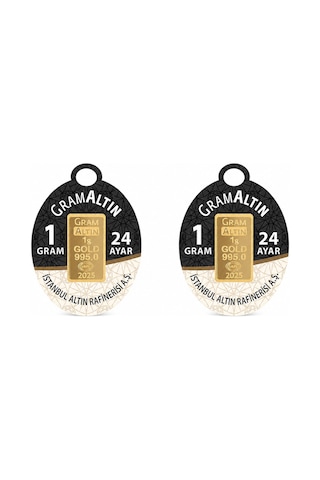 AgaKulche İAR 2 Gram (995) 24 Ayar Külçe Altın 2 Adet