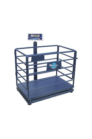 Hcw 600 KG x 200 Gr 70 x 110 Canlı Hayvan Baskülü Küçük Baş