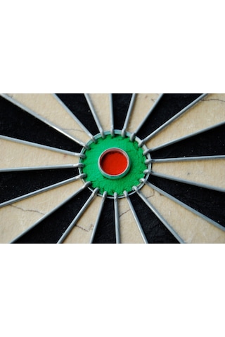 Winmau Pro Sfb Dart Hedef Tahtası