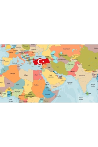 Türkçe Yazılı Dünya Haritası Duvar Kağıdı (360695186)