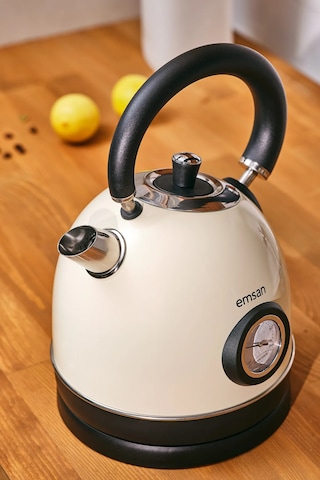 Emsan Turtle Kettle Cream