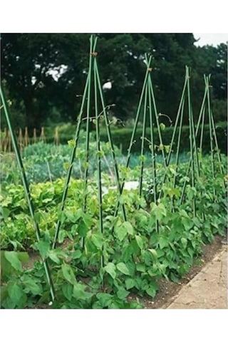 Gardener 153702 Bitki Destek Çubuğu 8 Mm X 60 Cm 10 Adet