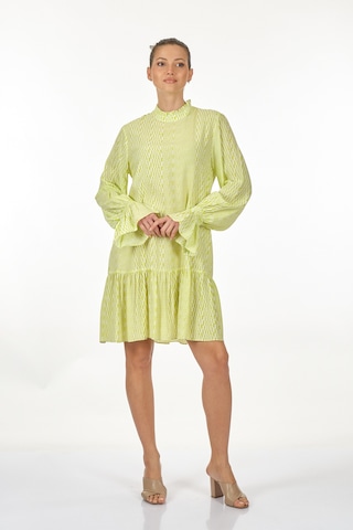 Perspective Dik Yaka Uzun Kollu Ekru Misket Limonu Kadın Elbise 2 001