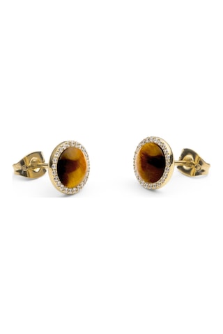 Audrey Earrings Tiger Eye Gold Gold