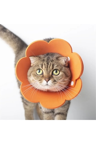 Soulader Keçe Kedi Yaka L Beden Elizabethan Yakalık Yalama Önleyici Koruyucu Yumuşak Rahat Nefes Alabilir Kedi Ve Köpekler İçin Ayçiçeği Desenli Evcil Hayvan Aksesuarları