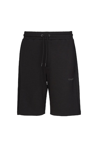 Hummel Hmlevon Shorts Erkek Şort 932423 Çok Renkli