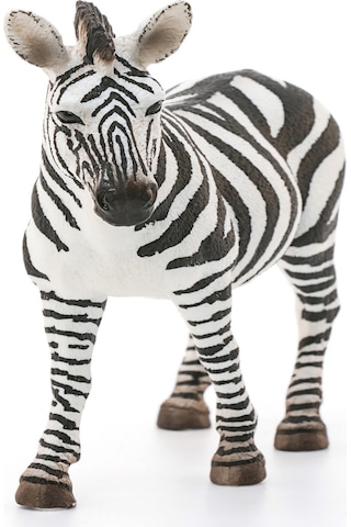 Schleich Dişi Zebra   14810
