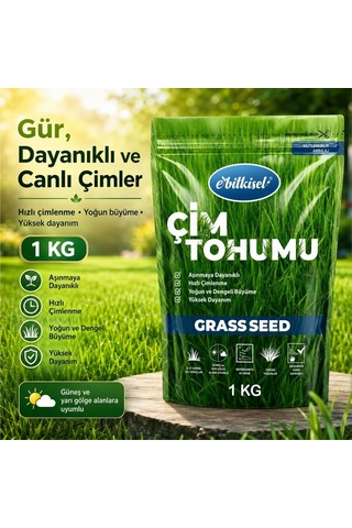 Ayrex Ebitkisel Çok Yıllık Çim Tohumu 1 Kg Uzun Ömürlü 6'li Karışım Gölge Ve Aşırı Güneşli Alan Uygun Ye