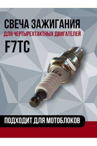Energoprom Dört Zamanlı Motorlar İçin F7tc Buji 316208318