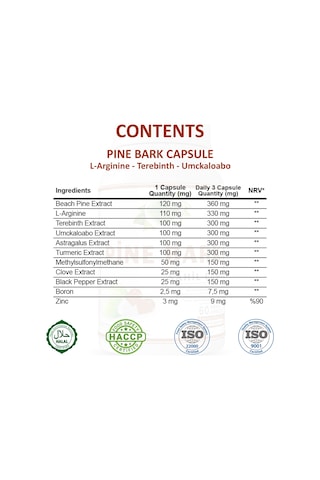 Gökçek Şifa Sahil Çamı (Pine Bark Capsule) 60 Kapsül