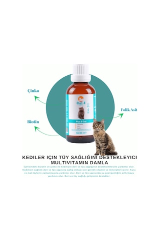 Amica Cat-e B Plus Kediler İçin Tüy Sağlını Multivitamin Damla