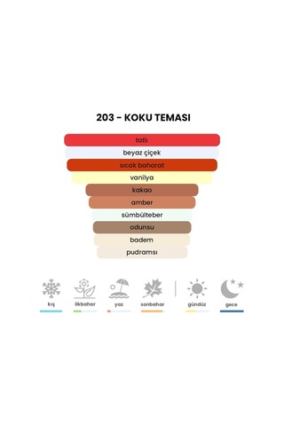 BEX 203 Kadın Parfüm EDP 50 ML