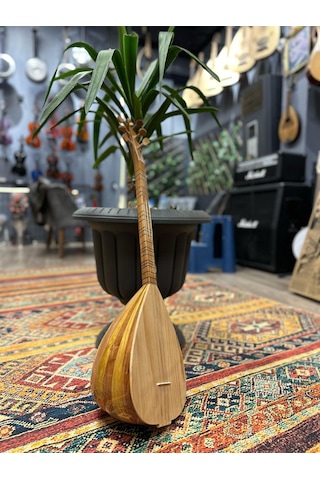 Cura Uzun Sap Ihlamur Tekne Bağlama