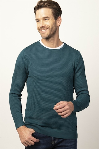 Tudors Slim Fit Dar Kesim Bisiklet Yaka Petek Desenli Erkek Kazak-25839 Yeşil
