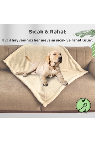 Kedi Köpek Battaniyesi Premium Peluş Evcil Hayvan Uyku Battaniyesi Yıkanabilir Krem 60x80