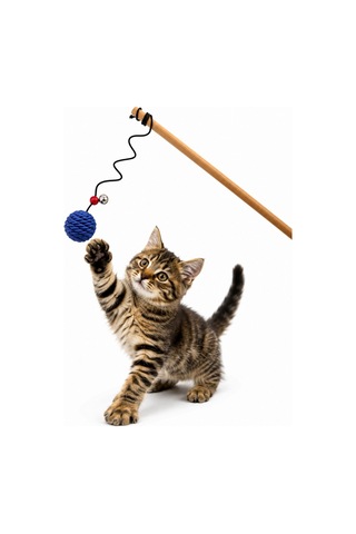 Kedi Oltası - Dawcat - İp Yumağı - Mavi