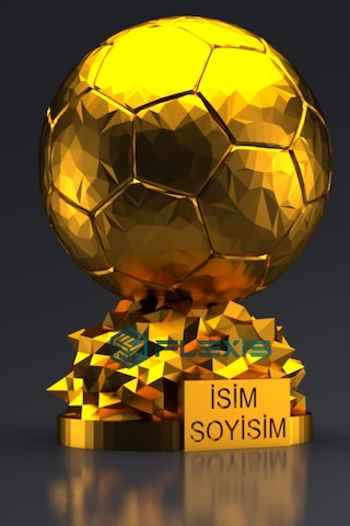 İsminize Özel Fıfa Ballon D'or Maketi Gold Kaplama 15 Cm Hediyelik