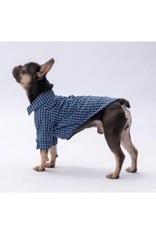 Pawstar Luss Mavi Kedi Ve Küçük Irk Köpek Gömleği