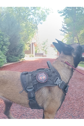 Tactical Göğüs Tasması Taktik Tasma Siyah