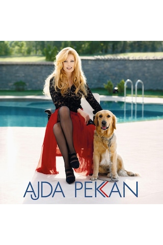 Ajda Pekkan - Eğlen Güzelim Plak