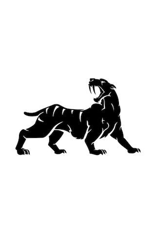 Araba Çıkartmaları, Tampon Koruyucuları Çok Renkli