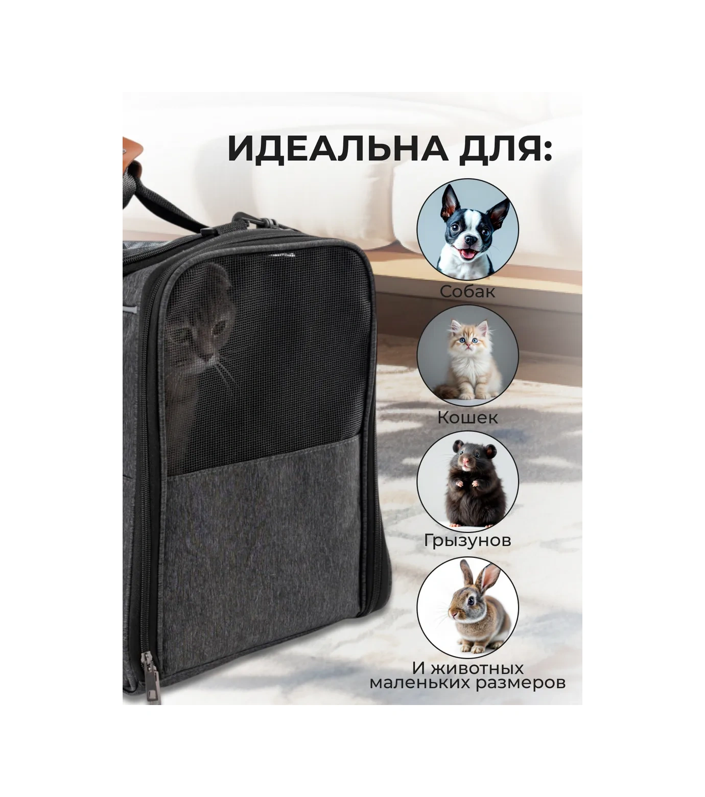 Platser Group Kedi Ve Köpek Taşıma Çantası 419045082