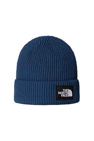 The North Face Salty Lined Beanie Unisex Outdoor Beresi Nf0a8cgzhdc1 Mavi Mavi